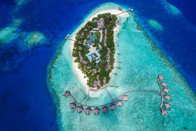Snorkeling with Manta Rays from Maafushi - Who Should Book This Tour?