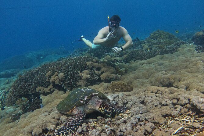 Snorkeling With Manta Rays in Nusa Penida and 4 Other Spots - The Full Experience Breakdown