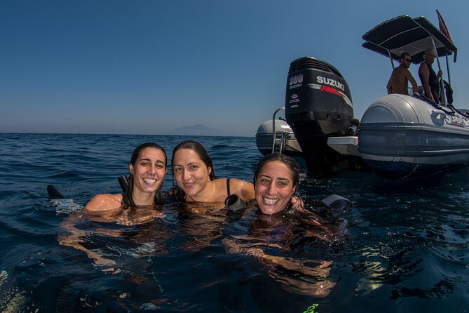 Snorkeling With Marine Biologist Expert From Sorrento - Snorkeling With Diverse Marine Life