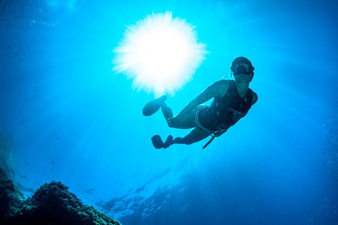 Snorkeling With Marine Biologist Expert From Sorrento - Logistics and Requirements for the Tour