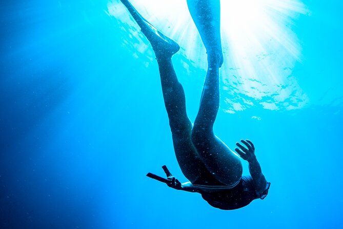 Snorkeling With Marine Biologist Expert From Sorrento - Details of the Snorkeling Tour