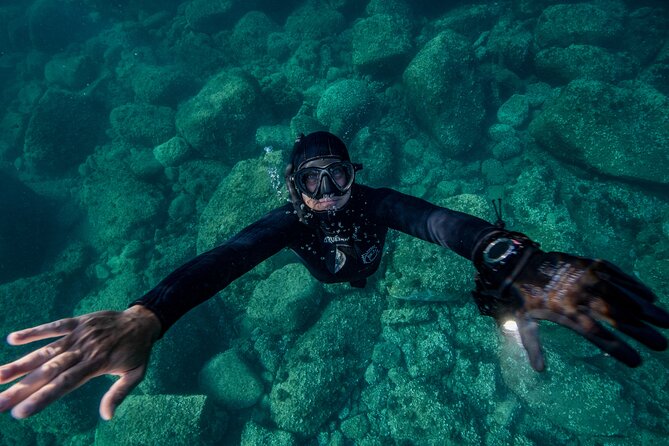 Snorkeling With Marine Biologist Expert From Sorrento - Cancellation Policy for the Tour