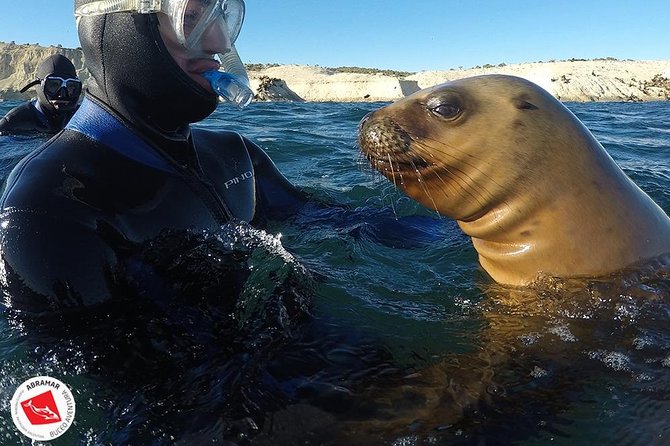 Snorkeling With Sea Lions - Activity Details