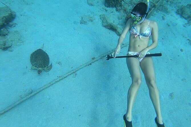 Snorkeling with Sea Turtles - Good To Know