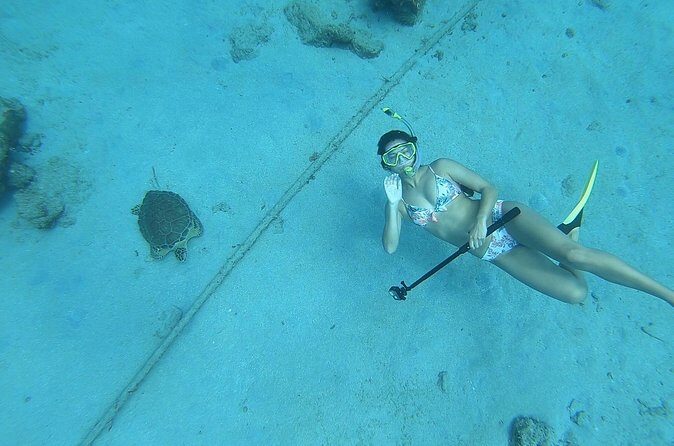 Snorkeling with Sea Turtles - Who Should Book This Tour?