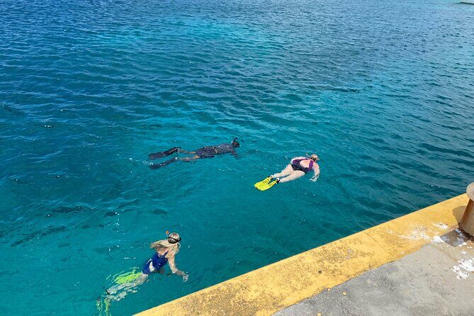 Snorkeling with Sea Turtles - The Sum Up