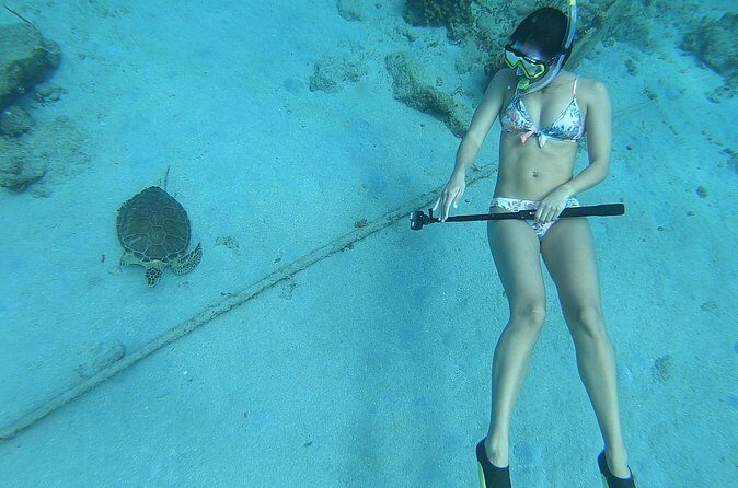 Snorkeling with Sea Turtles - FAQs