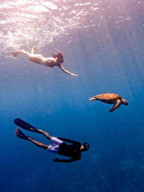 Snorkeling With Turtle and Underwater Statue in Gilis - Activity Details
