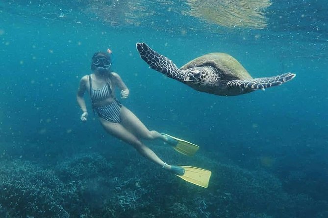 Snorkeling With Turtles in Mirissa - Private Snorkeling Trip