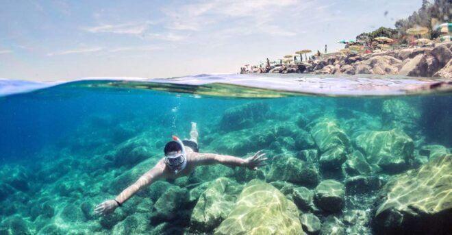 Snorkeling With Turtles in Mirissa - Activity Highlights