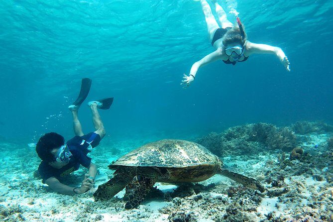 Snorkeling with Turtles on Gili Trawangan - An Honest Look at Snorkeling with Turtles on Gili Trawangan