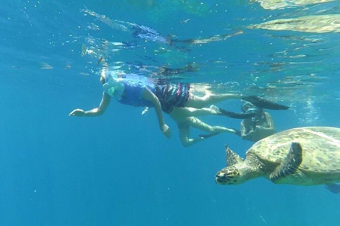 Snorkeling with Turtles on Gili Trawangan - Diving into the Details: What to Expect from the Tour