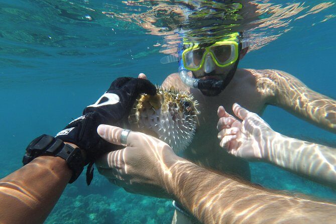 Snorkeling with Turtles on Gili Trawangan - Who Is This Tour Best For?