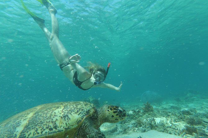 Snorkeling with Turtles on Gili Trawangan - Frequently Asked Questions