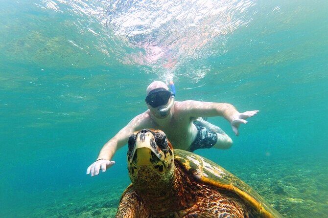 Snorkeling with Turtles on Gili Trawangan - Final Thoughts: Who Should Book This Tour?
