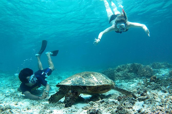 Snorkeling With Turtles on Gili Trawangan - Tour Details
