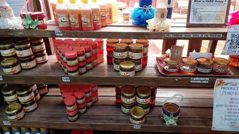 Snorkeling with turtles, sardines, secret cave and ATV - Final Thoughts