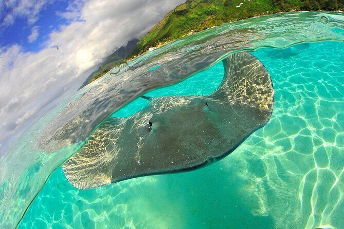 Snorkeling with underwater scooter in Tahaa lagoon from Raiatea - An In-Depth Look at the Tour