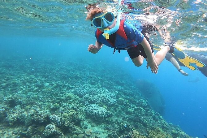Snorkelling and Diving in Samadai Reef From Marsa Alam - Additional Information and Booking Details