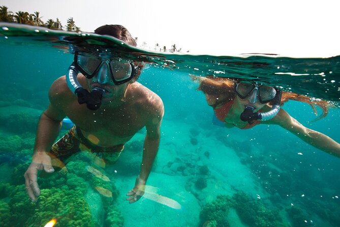 Snorkelling and Diving in Samadai Reef From Marsa Alam - Frequently Asked Questions