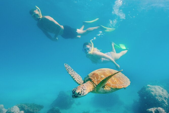 Snorkelling and Glass Bottom Boat at Green Island From Cairns - Pricing and Booking