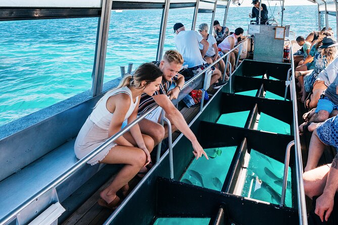 Snorkelling and Glass Bottom Boat at Green Island From Cairns - Cancellation Policy and Reviews
