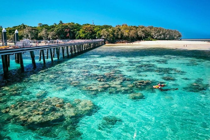 Snorkelling and Glass Bottom Boat at Green Island From Cairns - Snorkelling Experience