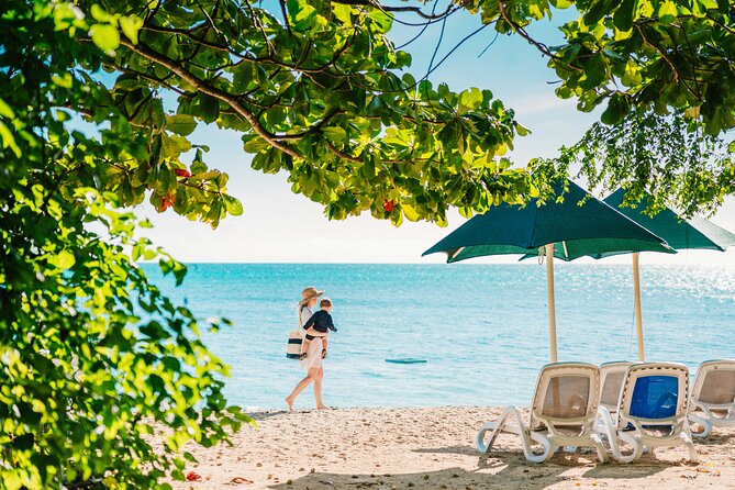 Snorkelling and Glass Bottom Boat at Green Island From Cairns - Glass Bottom Boat Tour