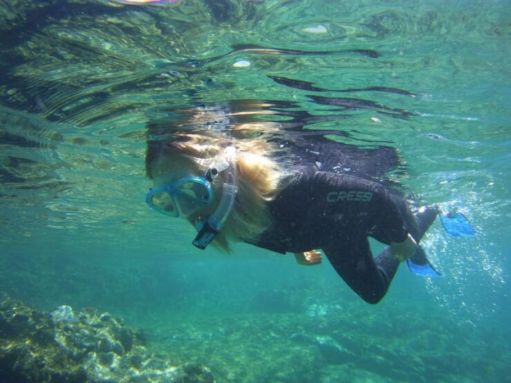 Snorkelling Experience in South of Gran Canaria - Good To Know