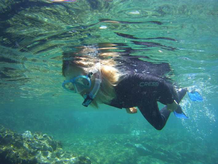 Snorkelling Experience in South of Gran Canaria - Booking and Payment