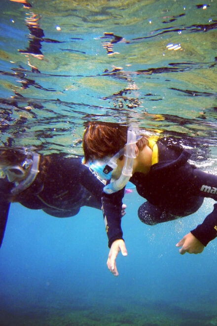 Snorkelling Experience in South of Gran Canaria - Pickup and Drop-off Locations