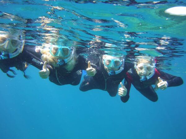 Snorkelling Experience in South of Gran Canaria - Additional Information