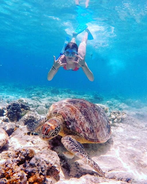 Snorkelling Gili Trawangan, Gili Air & Gili Meno From Lombok - Customer Reviews