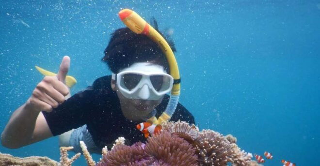 Snorkelling & Islandhopping Tour Karimunjawa (Private Tour) - Required Items & Reservation Process