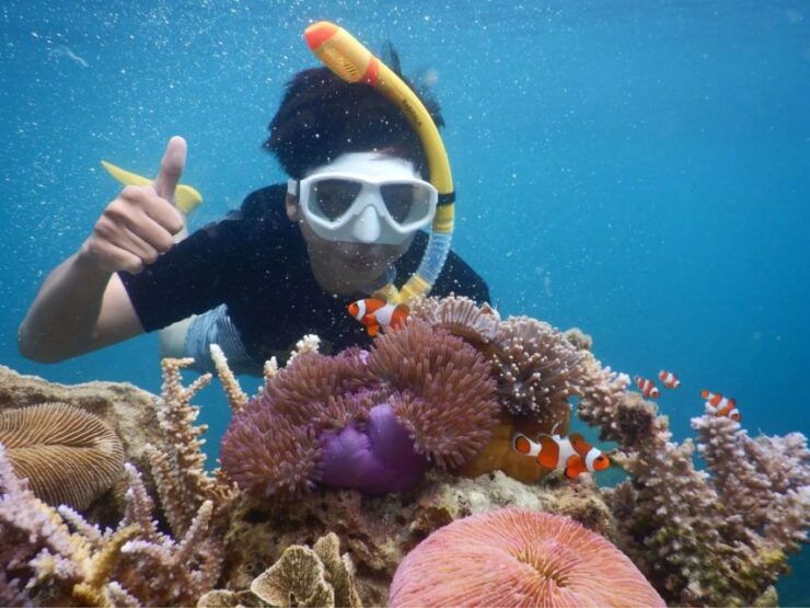 Snorkelling & Islandhopping Tour Karimunjawa (Sharing Tour) - Booking Information
