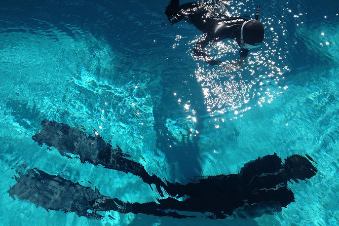 Snorkelling Trip Marine Reserve of Garajau - Boat Transportation to Snorkeling Spot