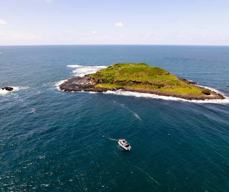 Snorkelling with Turtles at Cook Island Marine Rserve - What Is This Tour All About?