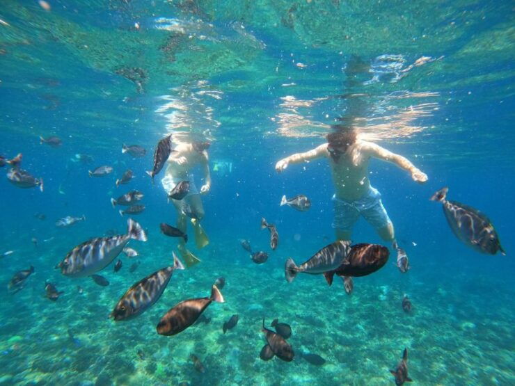 Snorkling & West Day Trip Nusa Penida Island - Tour Highlights