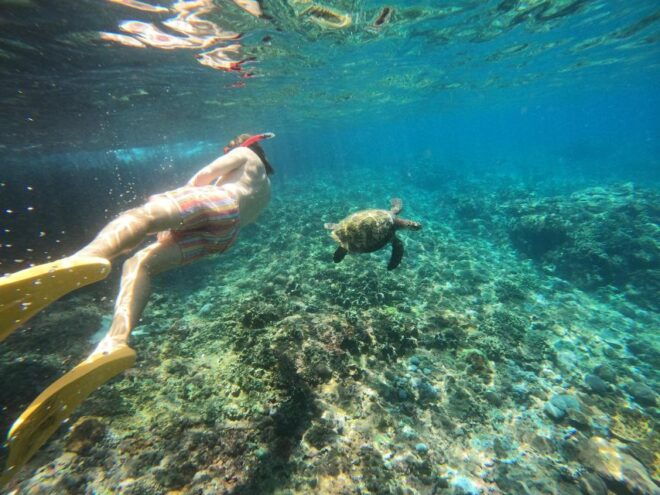 Snorkling & West Day Trip Nusa Penida Island - Itinerary Overview