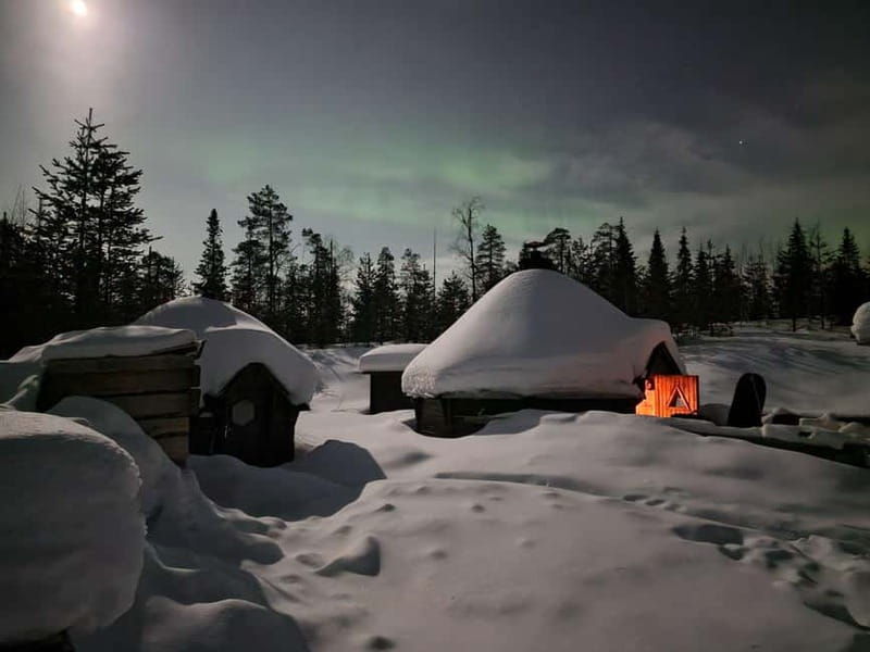 Snow Activities and reindeer feeding in nature - Good To Know