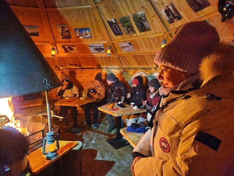 Snow Activities and reindeer feeding in nature - An In-Depth Look at the Tour Experience