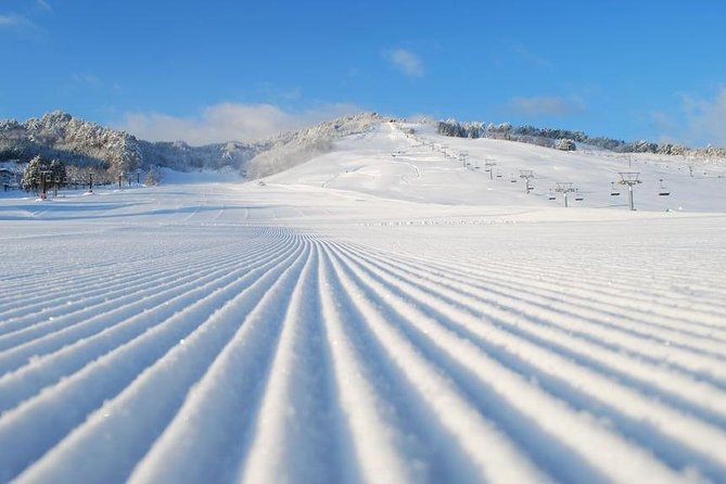 Snow Activities in Takayama Skiing / Snow Bording / Snowshoeing / Etc... - Skiing in Takayama