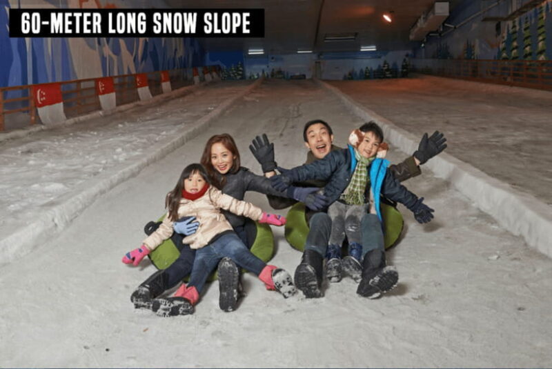 Snow City Singapore 1-Hour Play Ticket - The Sum Up