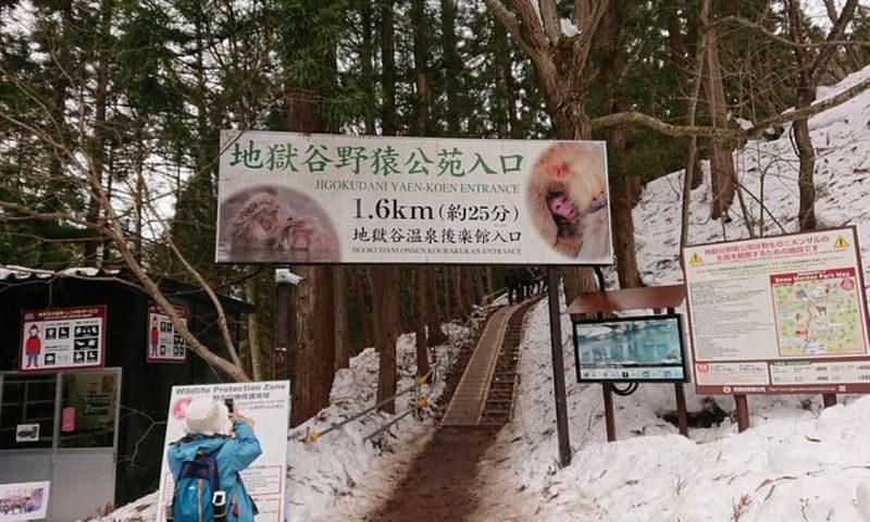 Snow Monkey and Shiga Kogen Roman Museum Trip with Lunch Buffet - A quick stop at the Shiga Kogen Roman Museum