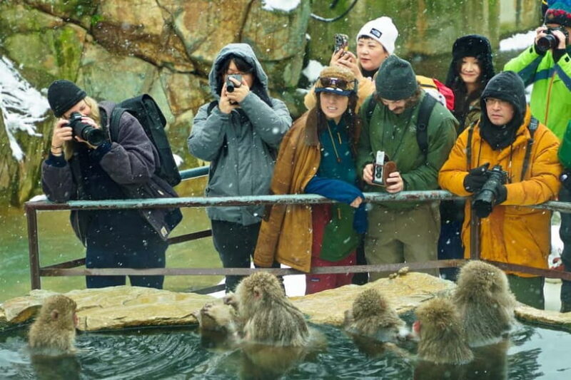 Snow Monkey, Hokusai & Sake: A Perfect Day in Nagano - Good To Know  