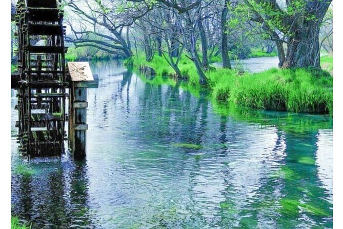 Snow Monkey Park and Zenko ji Temple Private Day Tour - Exploring the Itinerary and Experience