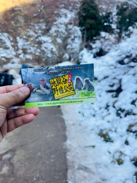 Snow Monkey Park Day Tour Pick-up and Drop-off From Nagano - Good To Know