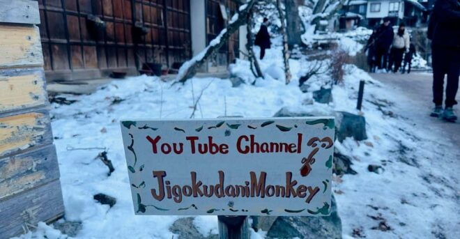Snow Monkey Park Day Tour Pick-up and Drop-off From Nagano - Pick-up and Drop-off Details