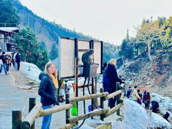 Snow Monkey Park Day Tour Pick-up and Drop-off From Nagano - Accessibility Features