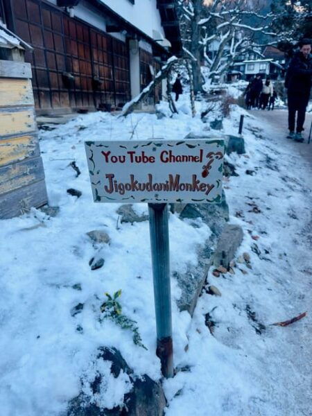 Snow Monkey Park Day Tour Pick-up and Drop-off From Nagano - Optional Activities and Upgrades